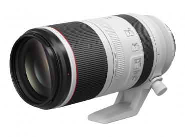 Canon RF 100-500mm 45,-7,1 L IS USM